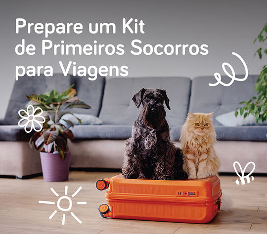 Prepare um Kit de Primeiros Socorros para Viagens